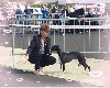  - Traviata Von Hoëhenzoller Best puppy à BEZIERS 2022
