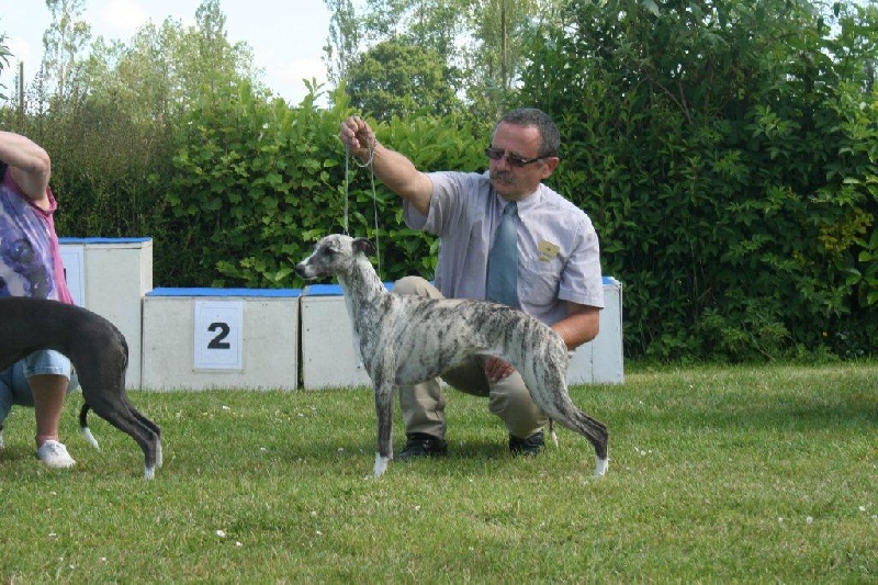 CH. Coco-chanel von Hoëhenzoller