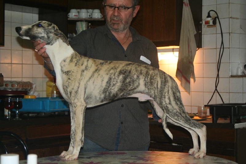 Gucci von Hoëhenzoller
