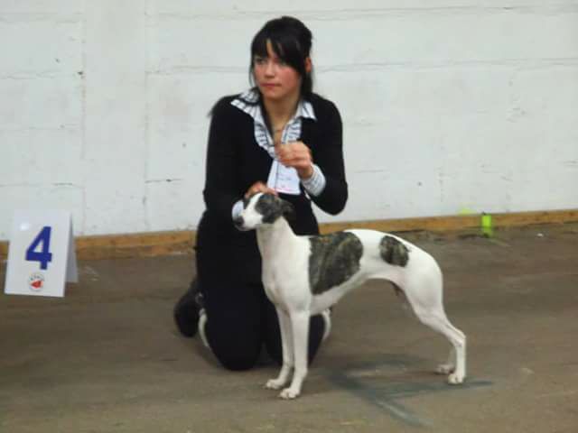 Hermione (dite hedelweiss) von Hoëhenzoller