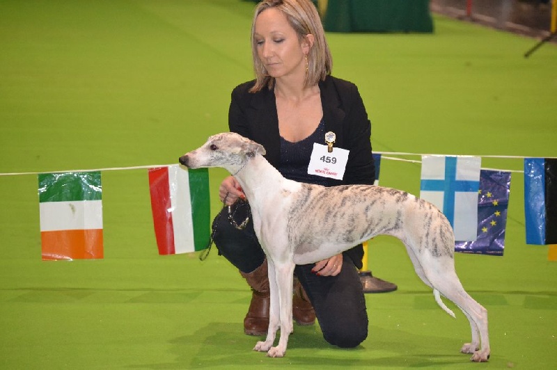 Lionne von Hoëhenzoller