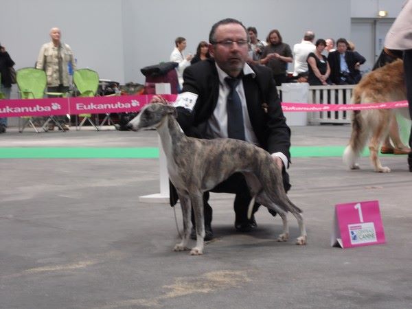 CH. Hiness von Hoëhenzoller