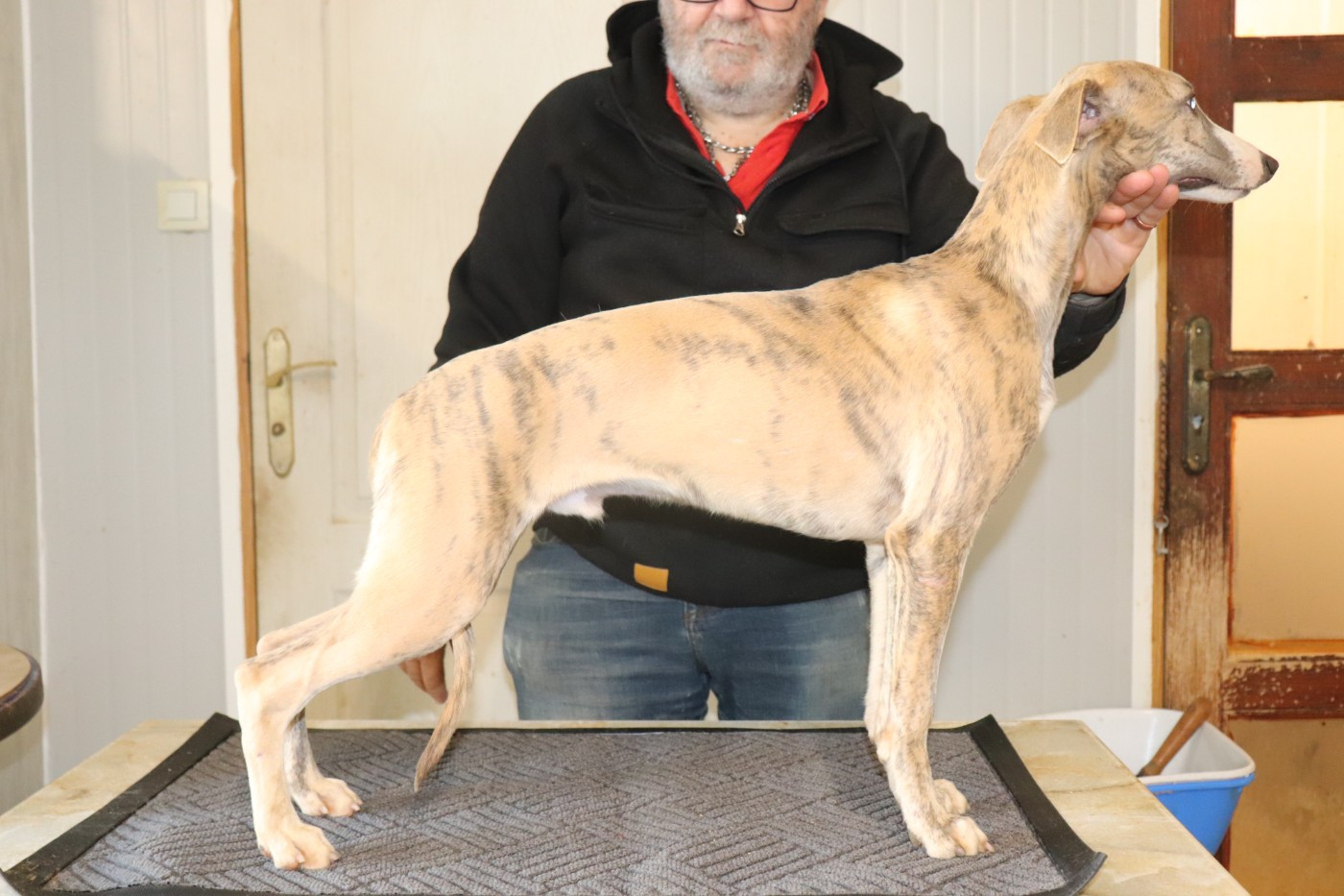 Apollon Von Hoëhenzoller von Hoëhenzoller