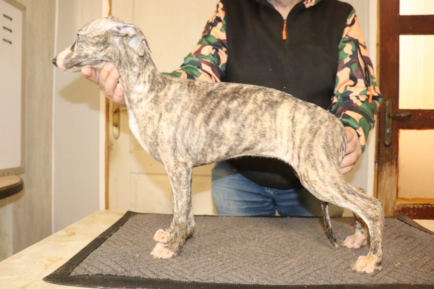 ALTESSE von Hoëhenzoller