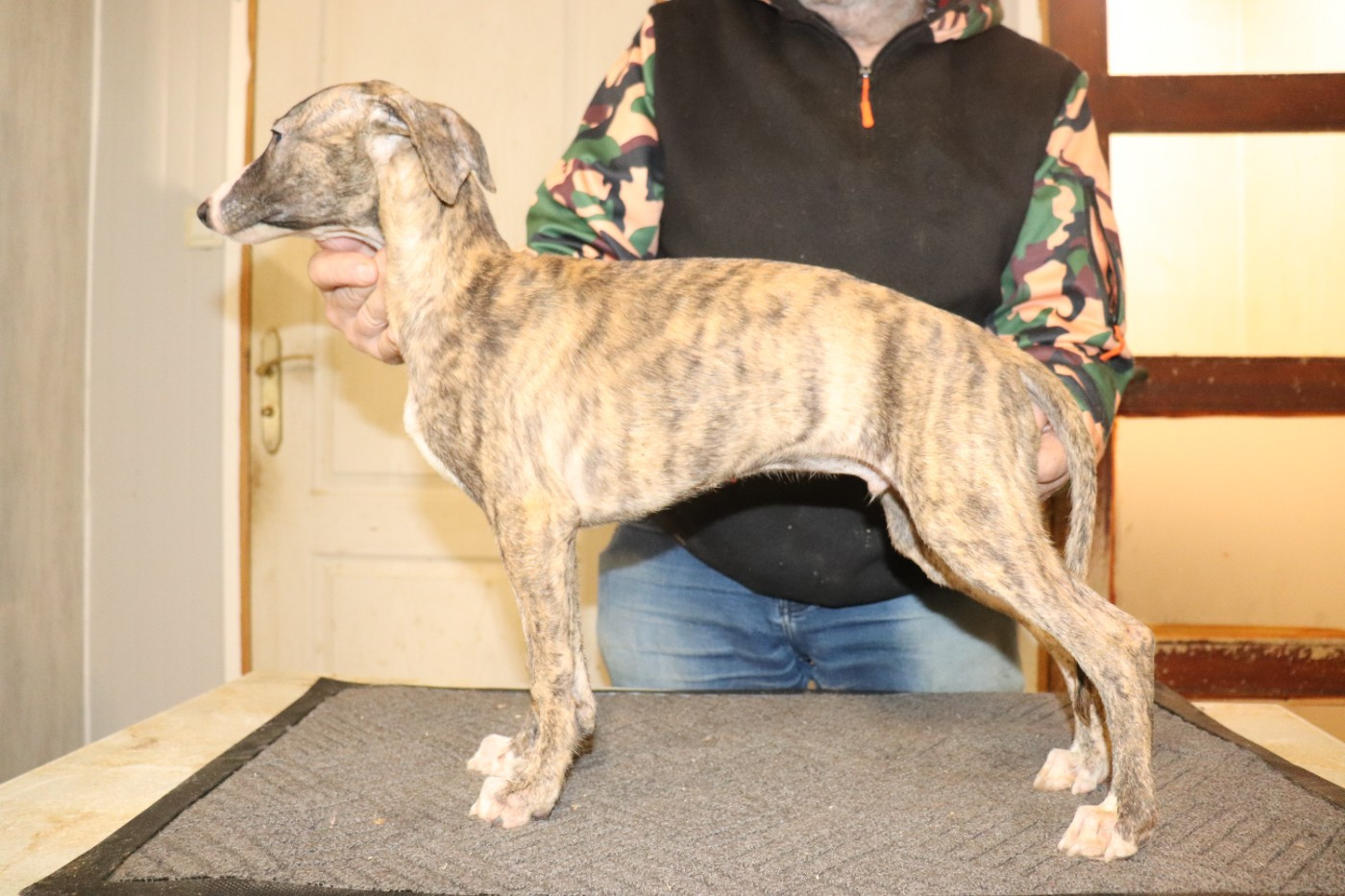 ASHTON von Hoëhenzoller